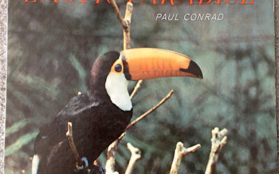 Paul Conrad – Exotic Paradise