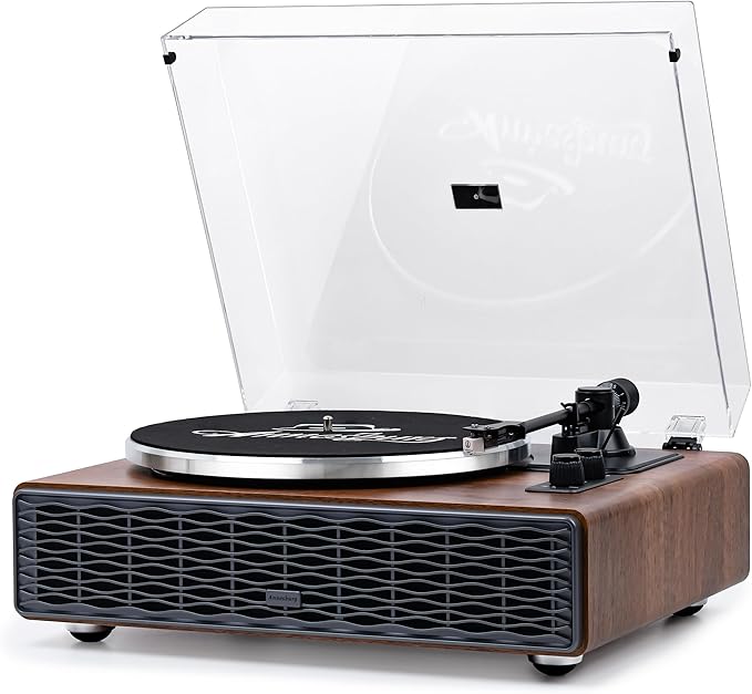 Annesburg Vinyl Record Player, Bluetooth Turntable with Built in Speakers for Vinyl Records
